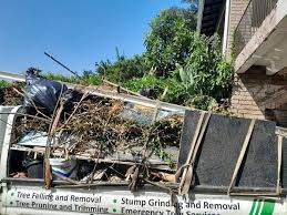 Best Moving and Downsizing Cleanouts  in Captains Cove, VA